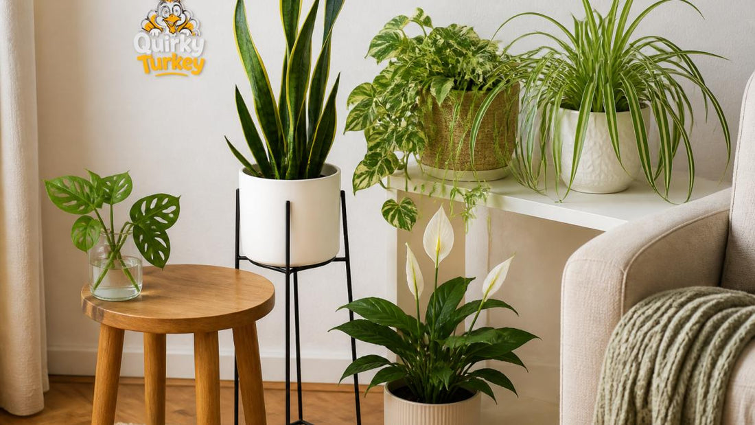 5 Best Space Saving Plants for Small Flats UK