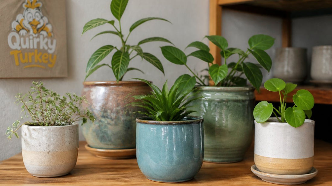 Are Handmade Ceramic Plant Pots Worth It? A 2026 Review