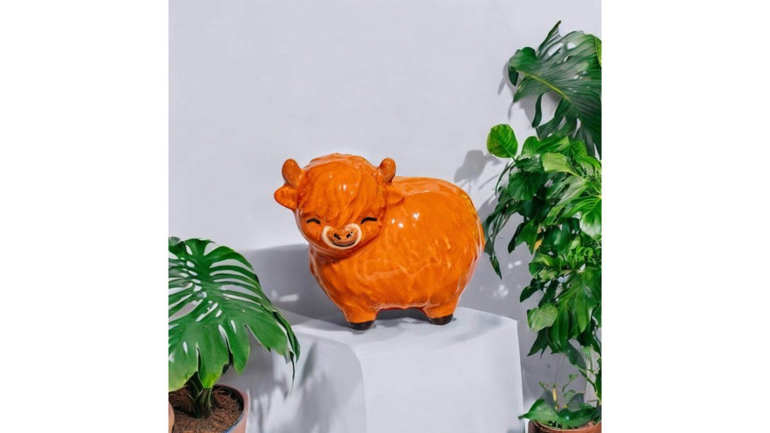 Cow Gifts for Her: 9 Quirky Ideas She'll Love