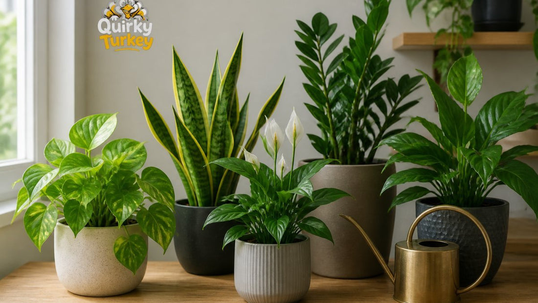 Low Light Indoor Plants for Apartments UK: 7 Easy Picks