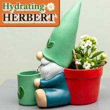 Hydrating Herbert Self Watering Plant Pot for Indoor Plants Pots & Planters Boxer Gifts Quirky Turkey Gifts