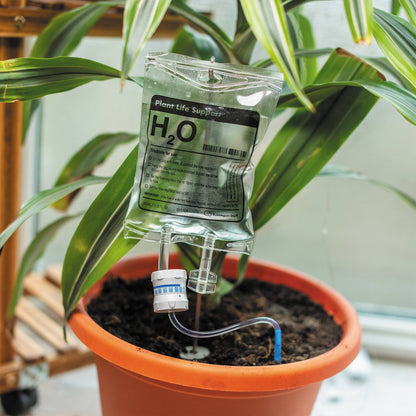 Plant Life Support | Plant Self-Water | Automatic waterer for plants Bubblegum Stuff UK Quirky Turkey Gifts