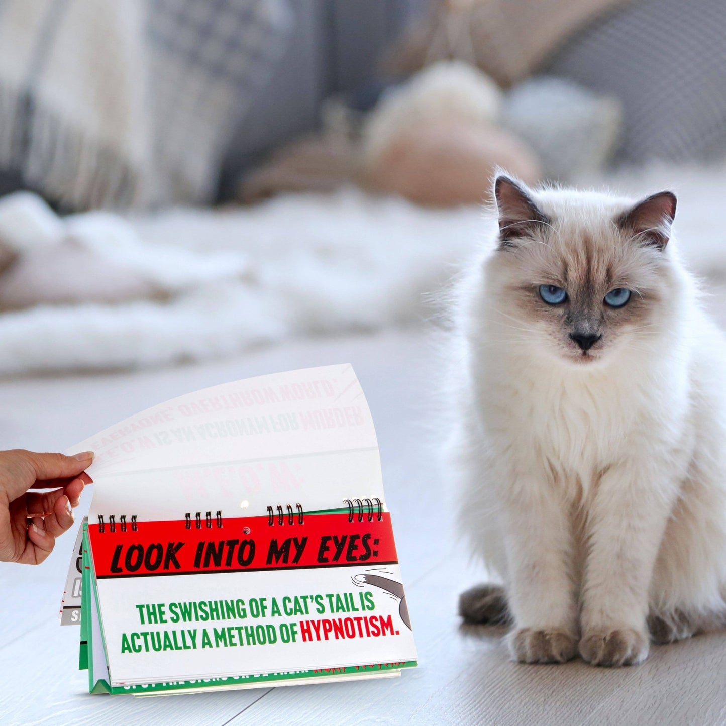 50 Ways Your Cat Is Trying To Kill You Flipbook - Cat Gifts Flip Books Boxer Gifts Quirky Turkey Gifts