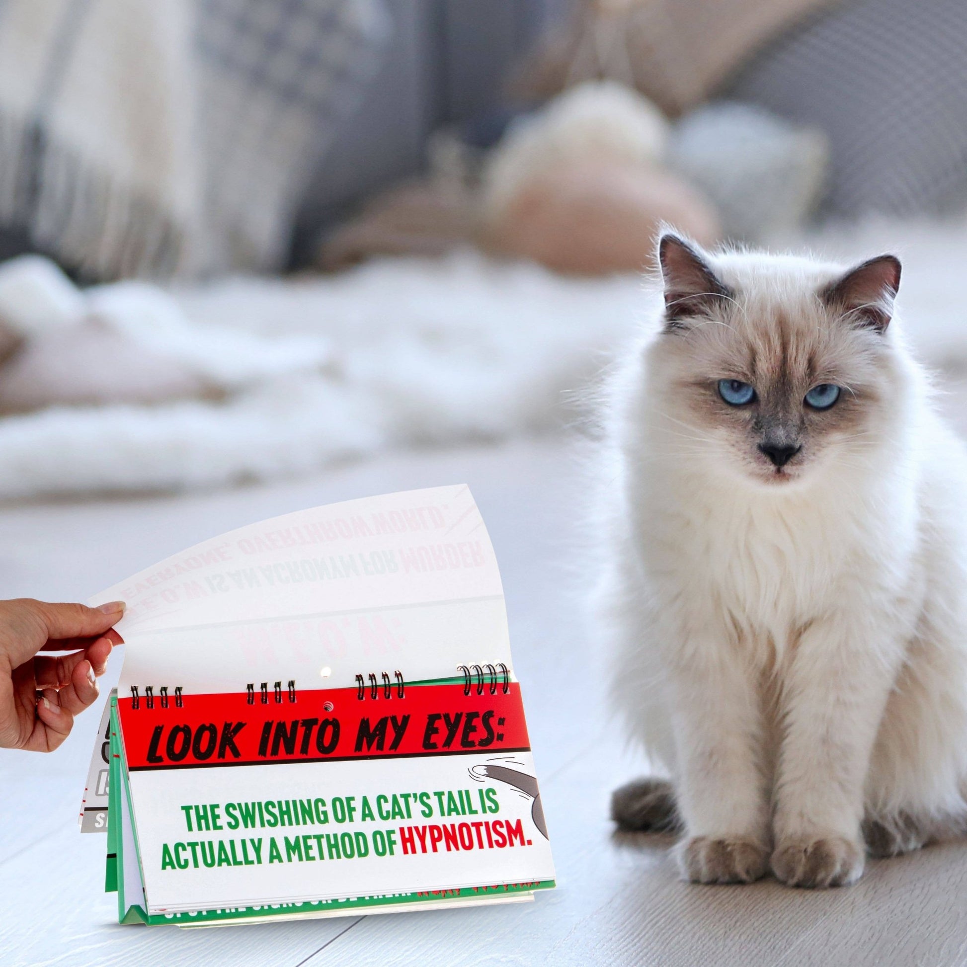 50 Ways Your Cat Is Trying To Kill You Flipbook - Cat Gifts Flip Books Boxer Gifts Quirky Turkey Gifts
