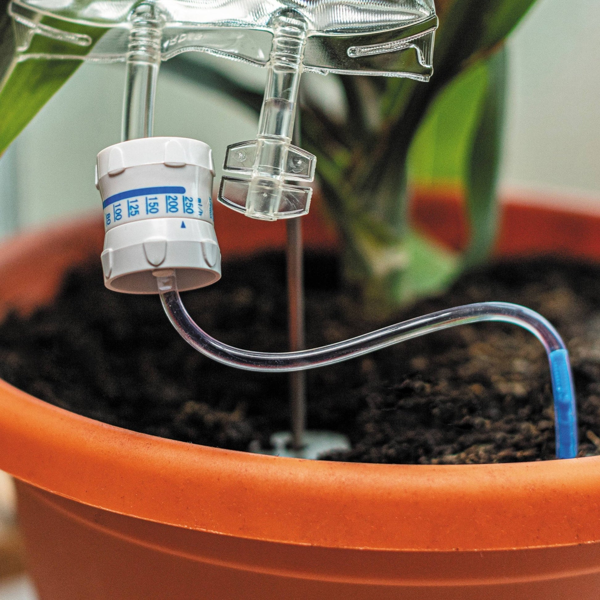 Plant Life Support | Plant Self-Water | Automatic waterer for plants Bubblegum Stuff UK Quirky Turkey Gifts