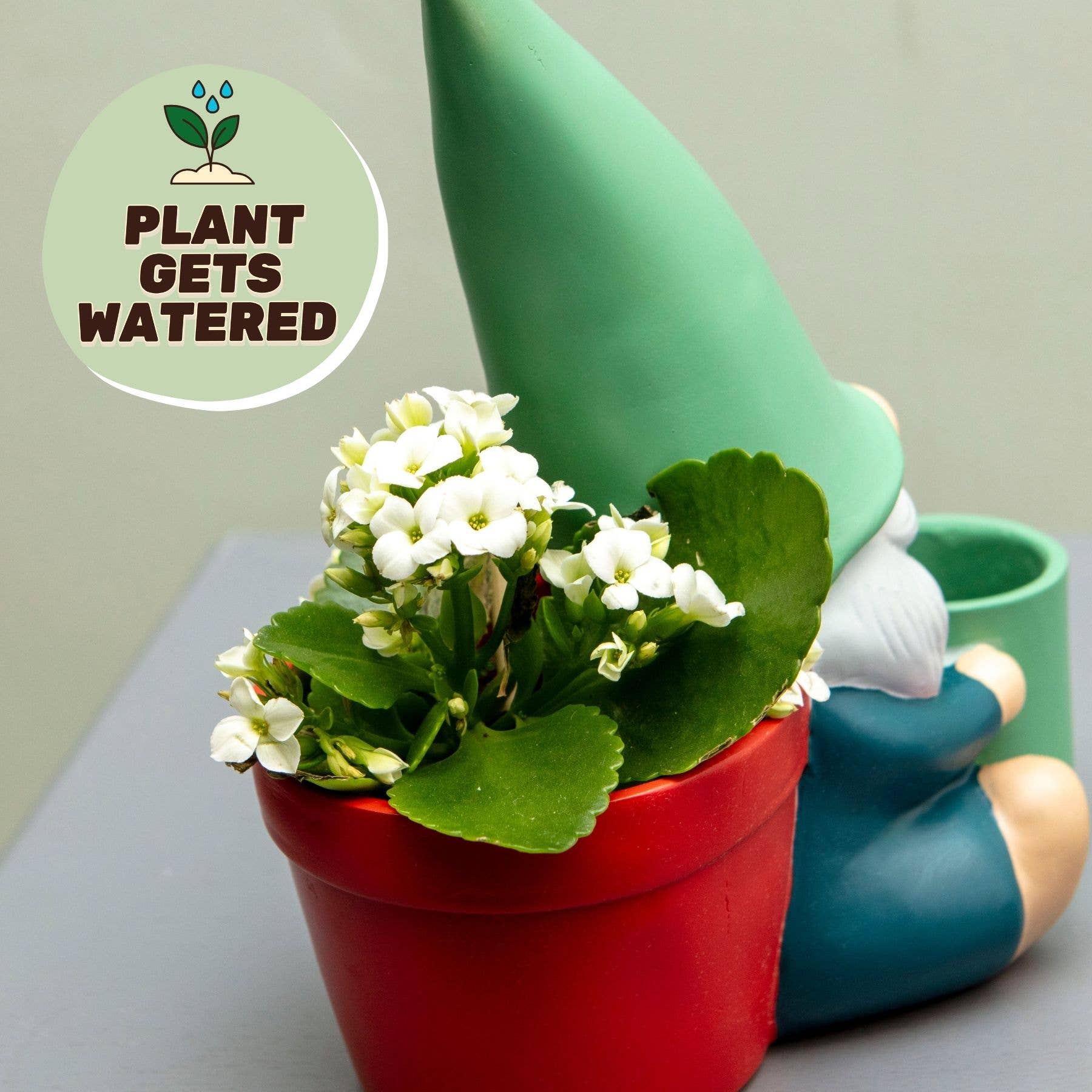 Hydrating Herbert Self Watering Plant Pot for Indoor Plants Pots & Planters Boxer Gifts Quirky Turkey Gifts