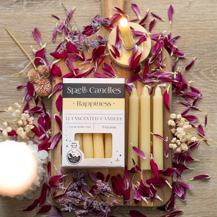 Spell Candles Box 12 Mixed Colours for Rituals and Magic Candles Spirit of equinox Quirky Turkey Gifts