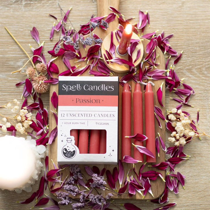 Spell Candles Box 12 Mixed Colours for Rituals and Magic Candles Spirit of equinox Quirky Turkey Gifts