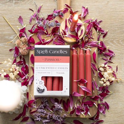 Spell Candles Box 12 Mixed Colours for Rituals and Magic Candles Spirit of equinox Quirky Turkey Gifts
