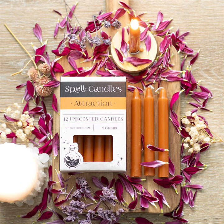 Spell Candles Box 12 Mixed Colours for Rituals and Magic Candles Spirit of equinox Quirky Turkey Gifts