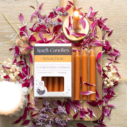 Spell Candles Box 12 Mixed Colours for Rituals and Magic Candles Spirit of equinox Quirky Turkey Gifts