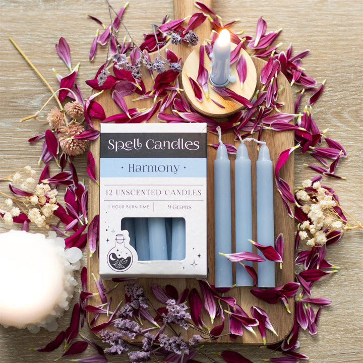 Spell Candles Box 12 Mixed Colours for Rituals and Magic Candles Spirit of equinox Quirky Turkey Gifts