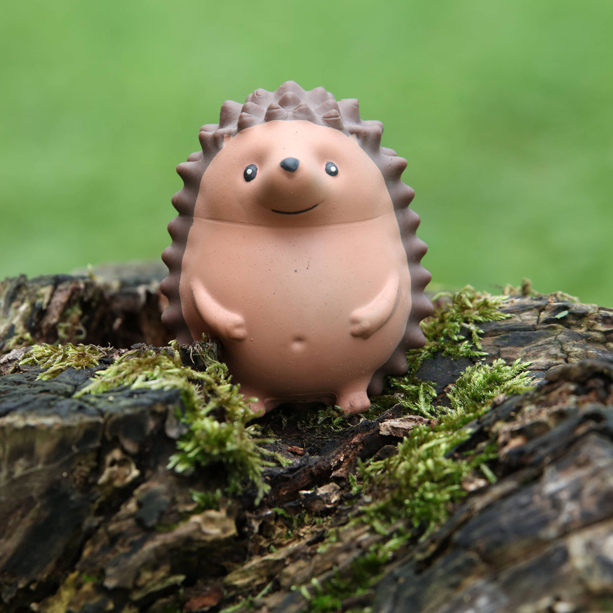 Stress Hog Hedgehog Squishy Stress Toy | Boxer Gifts
