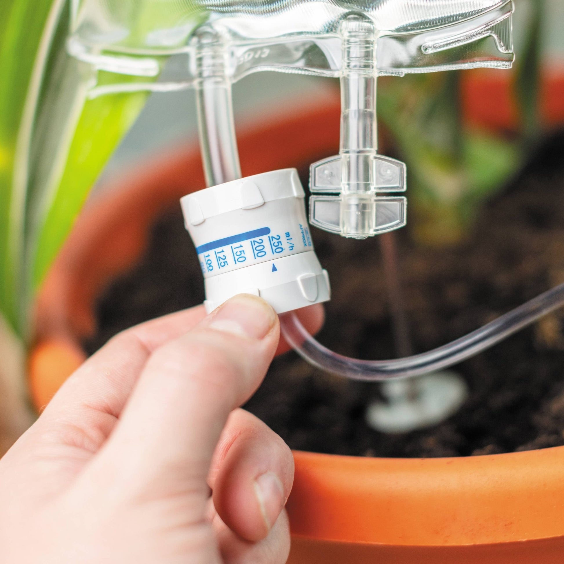 Plant Life Support | Plant Self-Water | Automatic waterer for plants Bubblegum Stuff UK Quirky Turkey Gifts
