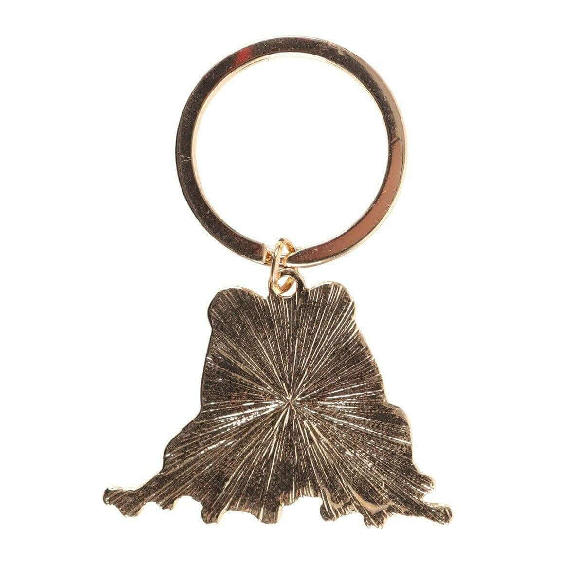 Lucky Frog Keyring, Key Organisers, Frog Lover Gifts Keyrings Jones Home & Gifts Quirky Turkey Gifts