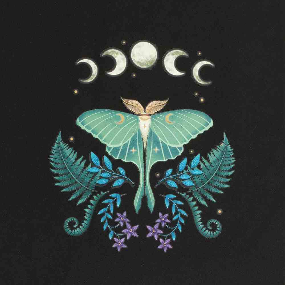 Luna Moth Polycotton Tote Bag for Everyday Use Lunch Boxes & Totes Spirit of equinox Quirky Turkey Gifts