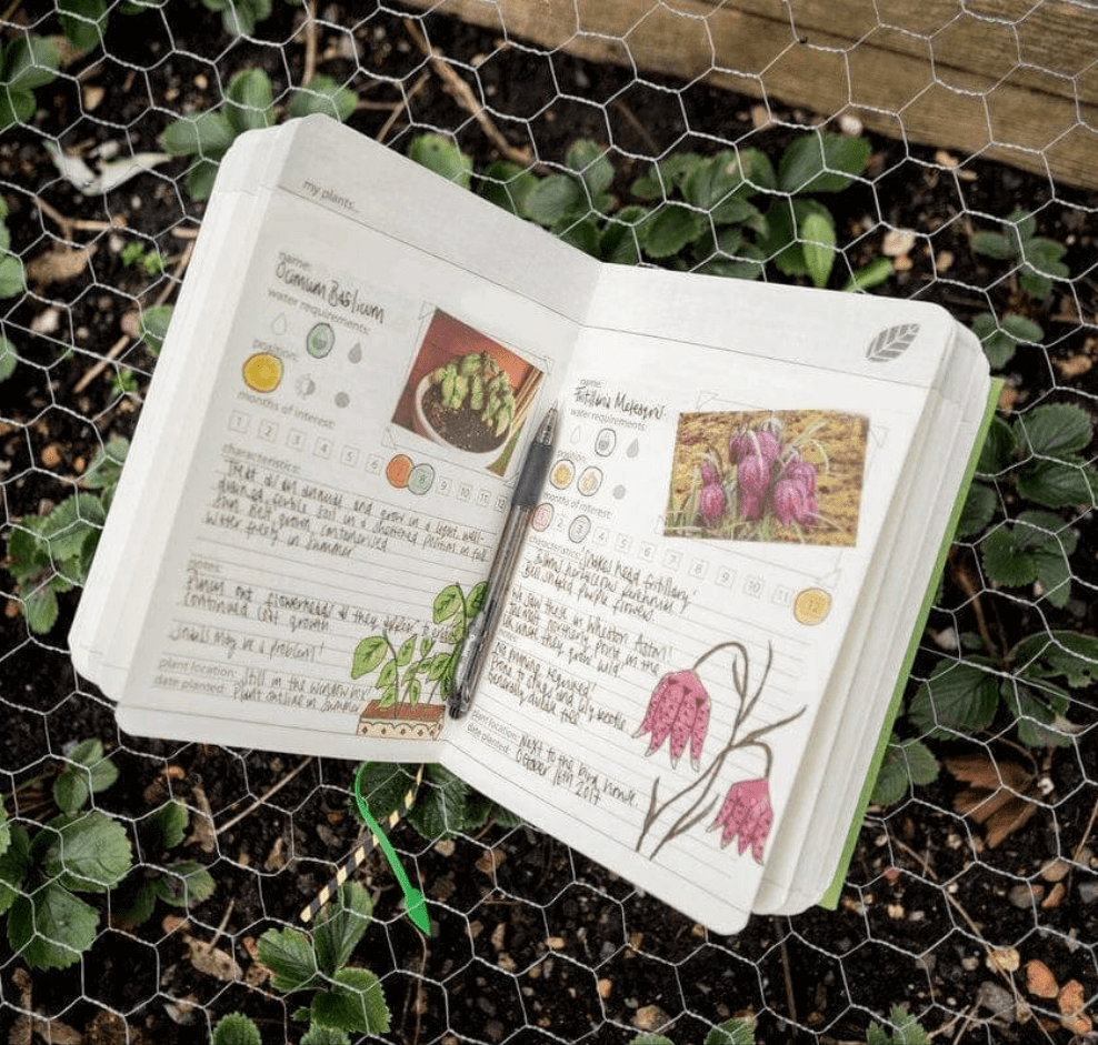 My Gardening Handbook, Gardeners Journal Over 300 Pages Gardeners Journal Handbook Luckies Quirky Turkey Gifts