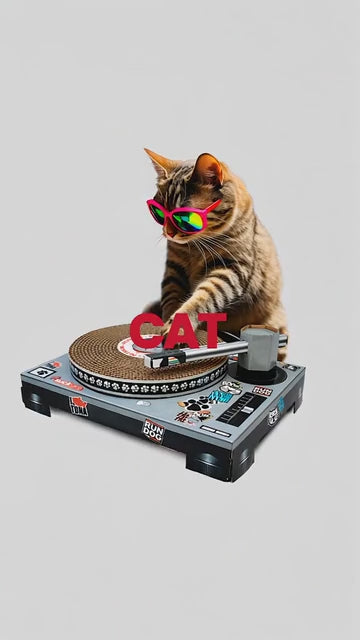 Cardboard Turntable Cat Scratching Toy