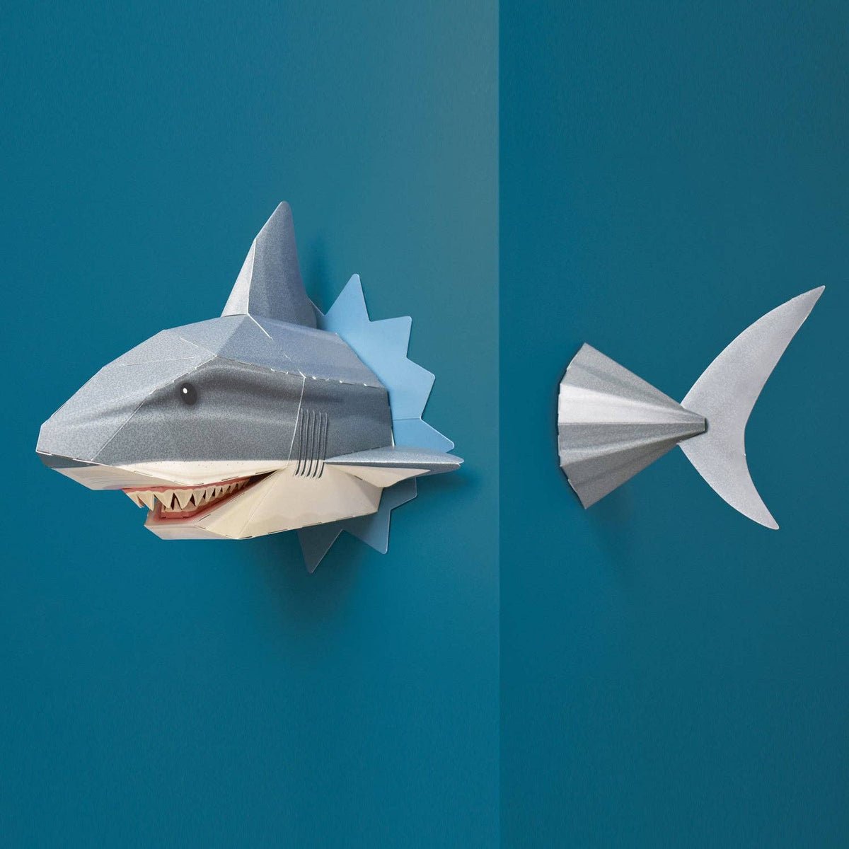 Create Your Own Snappy Shark | 3D Wall Craft Kit Quirky Turkey Gifts