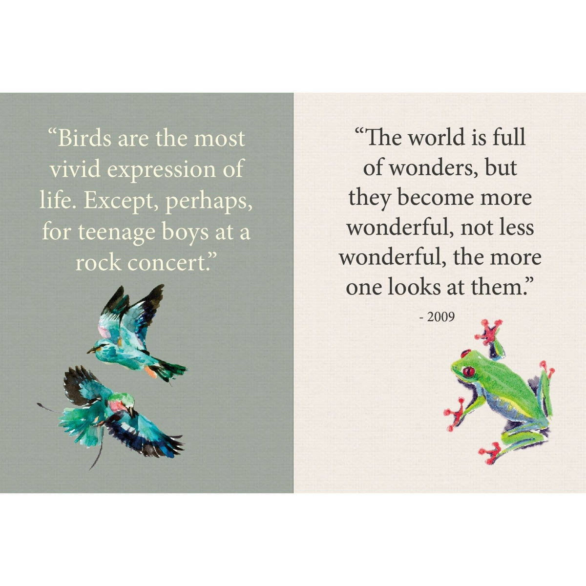 Open book spread with bird and reptile illustrations and quote text