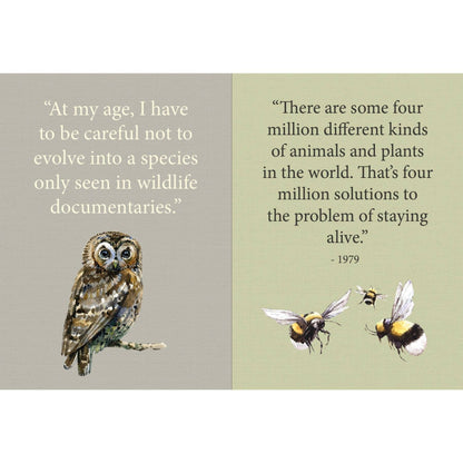 Open book spread with owl and insect illustrations and quote text