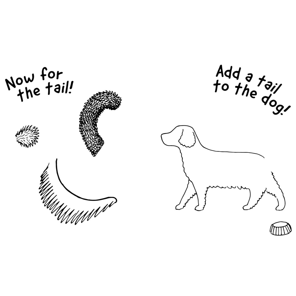Doodle dog book page showing tail and adding steps with dog line drawings