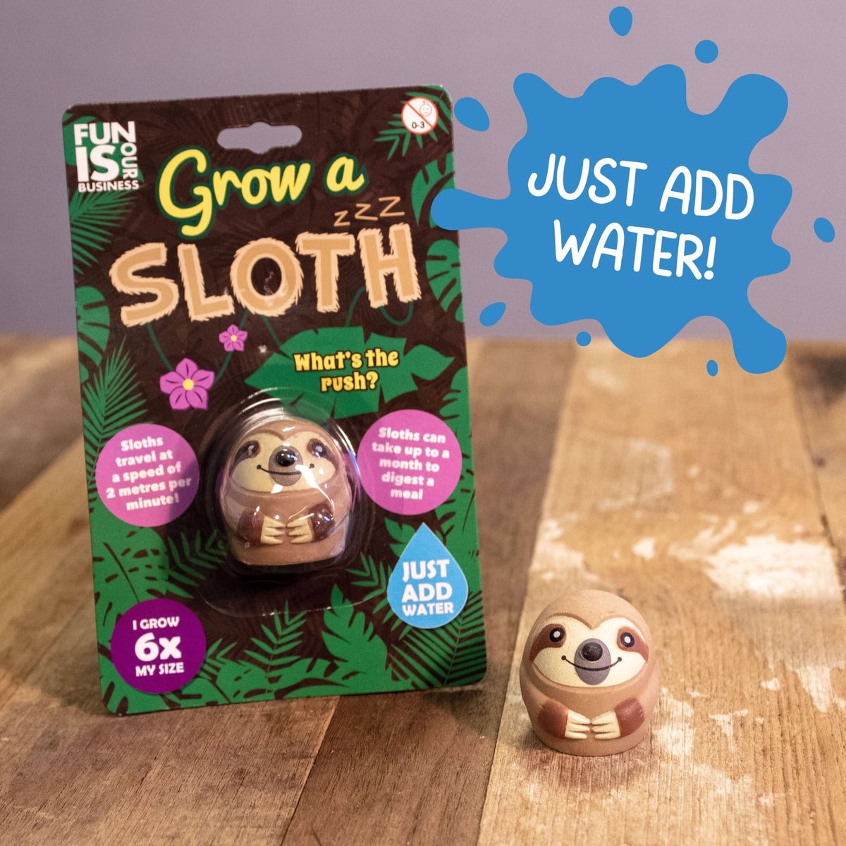 Grow-a-sloth water-activated toy blister pack with egg-shaped sloth figure