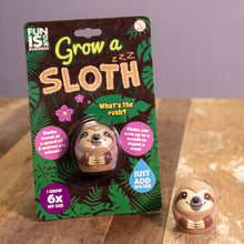 Grow-a-sloth water-activated toy in retail blister pack with small sloth figure