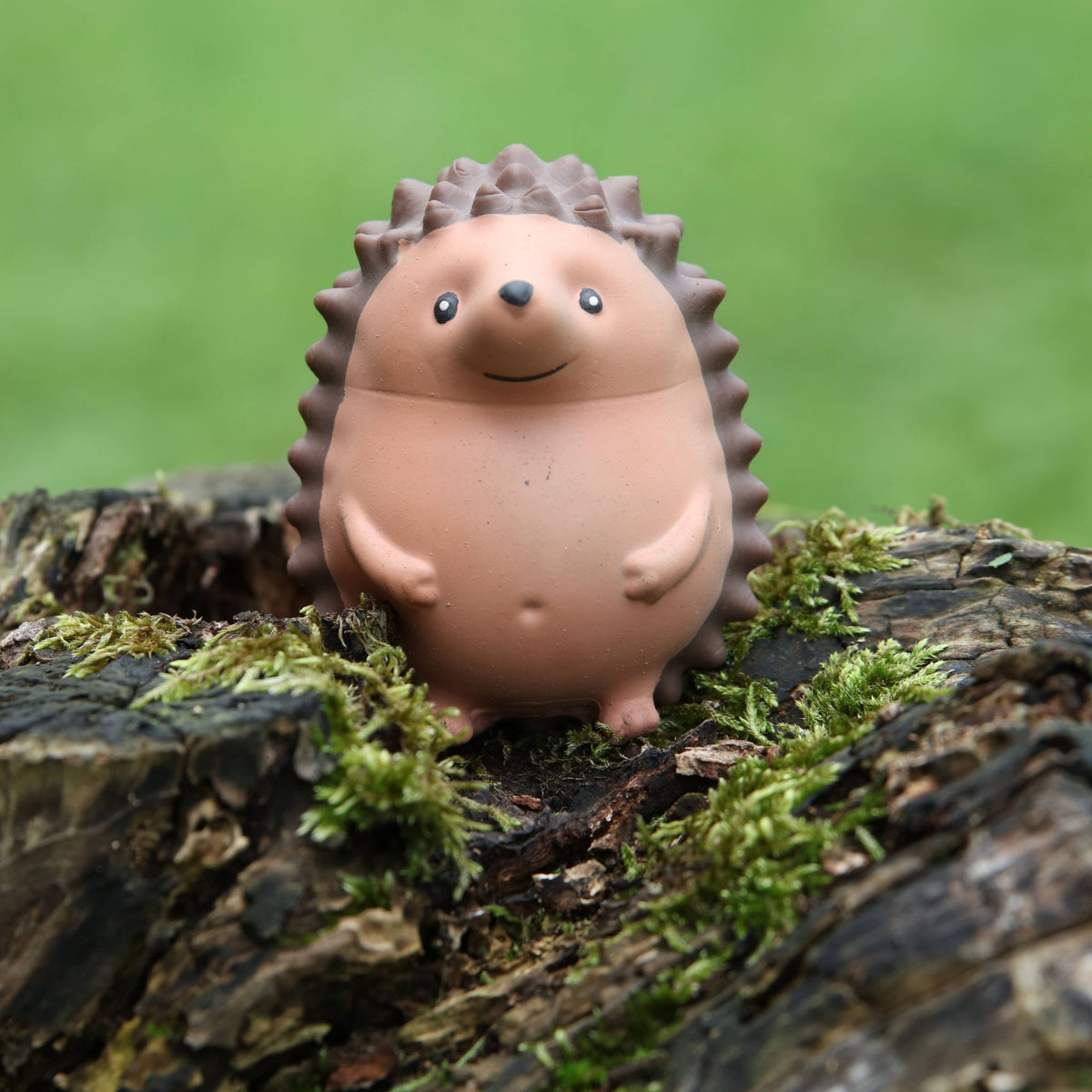 Stress Hog Hedgehog Squishy Stress Toy | Boxer Gifts Quirky Turkey Gifts