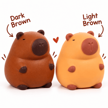 Stretchy Capybara Toy - Sand-Filled Sensory Fidget Toy Quirky Turkey Gifts