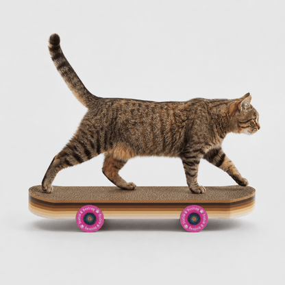 SUCK UK Cat Scratch Skateboard | Cardboard Cat Scratcher Quirky Turkey Gifts