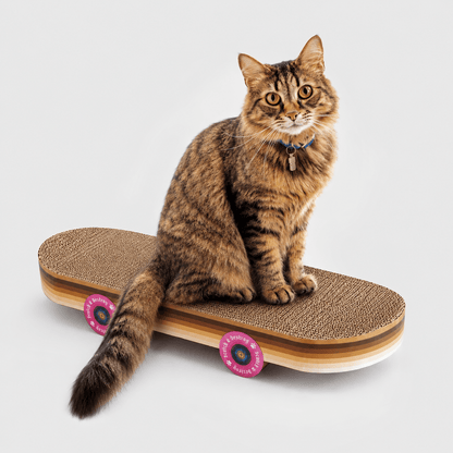 SUCK UK Cat Scratch Skateboard | Cardboard Cat Scratcher Quirky Turkey Gifts