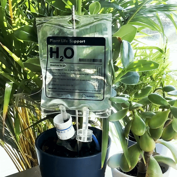 Plant Life Support | Plant Self-Water | Automatic waterer for plants Bubblegum Stuff UK Quirky Turkey Gifts