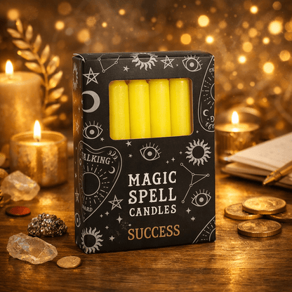 Casting Spell Candles Box of 12 for Manifesting Solid Colours Candles Spirit of equinox Quirky Turkey Gifts