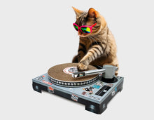 Cardboard Turntable Cat Scratching Toy Gadgets SuckUK Quirky Turkey Gifts