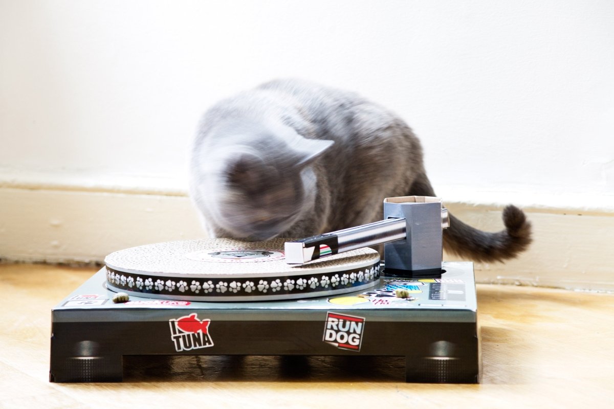 Cardboard Turntable Cat Scratching Toy Gadgets SuckUK Quirky Turkey Gifts