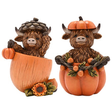 Country Living Highland Cows in Pumpkins Home & Garden Country Living Quirky Turkey Gifts