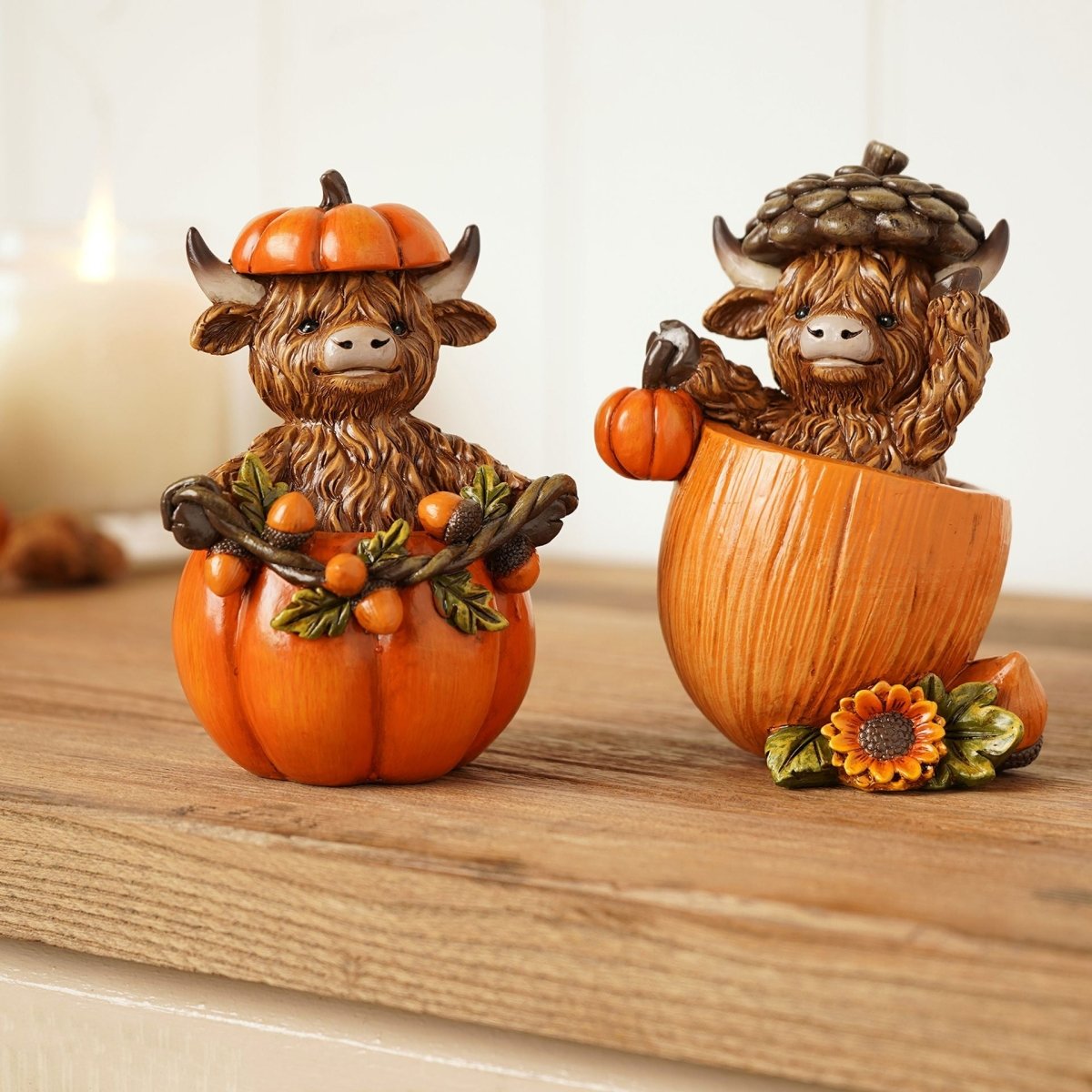 Country Living Highland Cows in Pumpkins Home & Garden Country Living Quirky Turkey Gifts