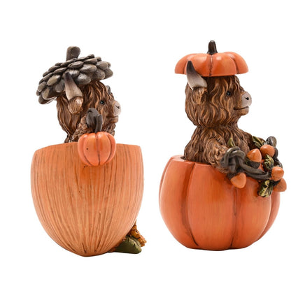 Country Living Highland Cows in Pumpkins Home & Garden Country Living Quirky Turkey Gifts