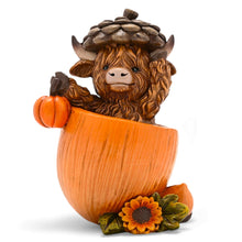 Country Living Highland Cows in Pumpkins Home & Garden Country Living Quirky Turkey Gifts