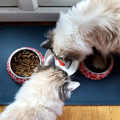 Goldfish Trick Water Bowl for Cats, Novelty Ceramic Cat Water Dish Gadgets SuckUK Quirky Turkey Gifts