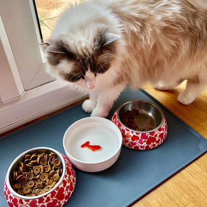 Goldfish Trick Water Bowl for Cats, Novelty Ceramic Cat Water Dish Gadgets SuckUK Quirky Turkey Gifts