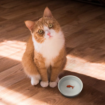 Goldfish Trick Water Bowl for Cats, Novelty Ceramic Cat Water Dish Gadgets SuckUK Quirky Turkey Gifts
