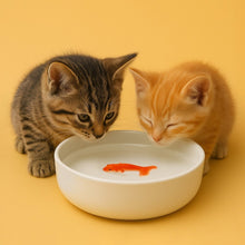 Goldfish Trick Water Bowl for Cats, Novelty Ceramic Cat Water Dish Gadgets SuckUK Quirky Turkey Gifts