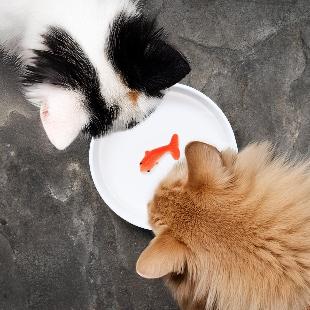 Goldfish Trick Water Bowl for Cats, Novelty Ceramic Cat Water Dish Gadgets SuckUK Quirky Turkey Gifts