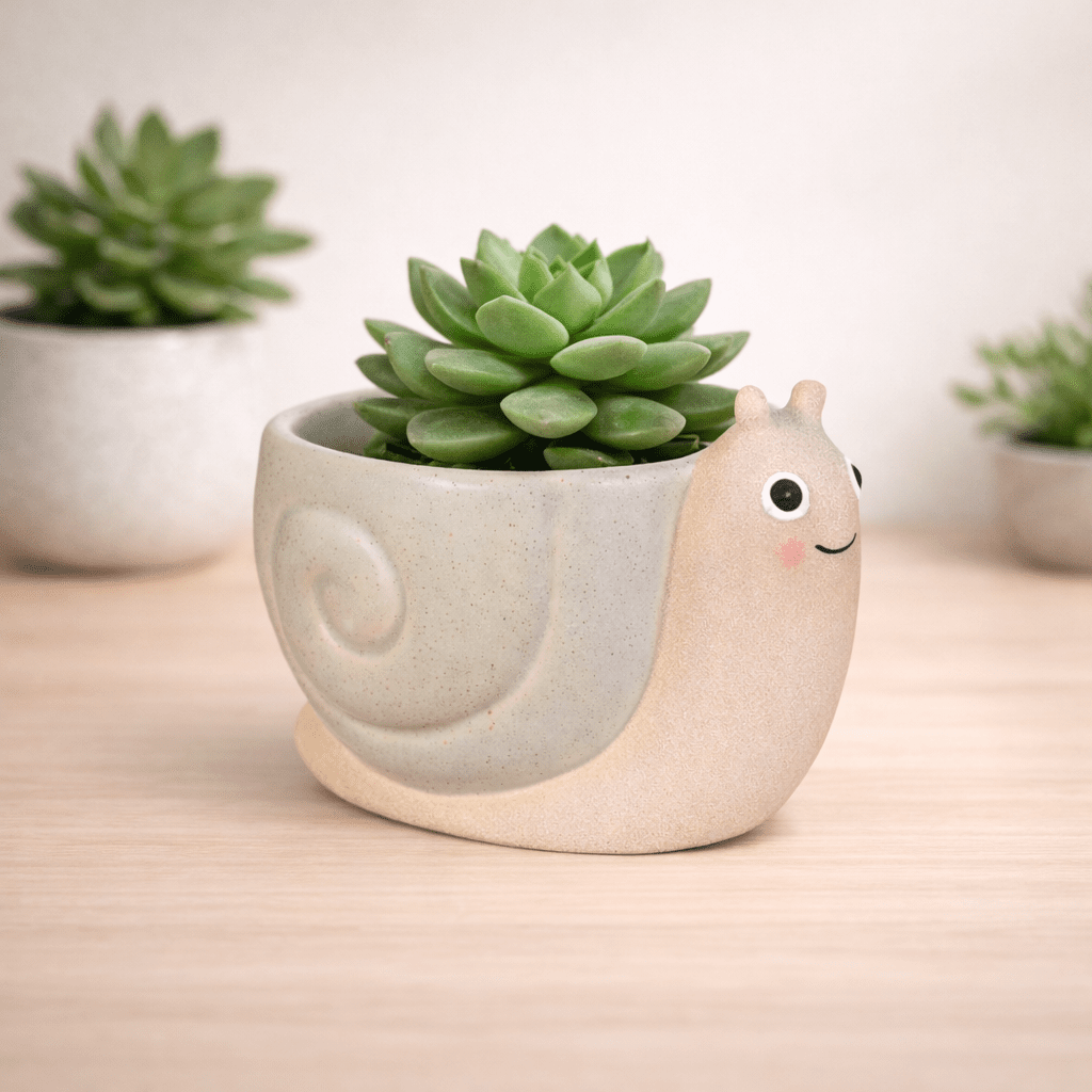 Mini Snail Planter (Cottage Garden) – Sass & Belle 🐌 Pots & Planters Sass and Belle Quirky Turkey Gifts