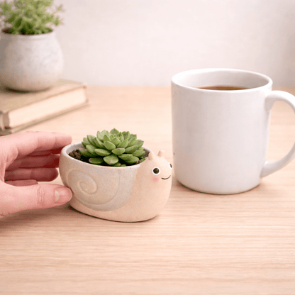 Mini Snail Planter (Cottage Garden) – Sass & Belle 🐌 Pots & Planters Sass and Belle Quirky Turkey Gifts