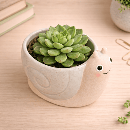 Mini Snail Planter (Cottage Garden) – Sass & Belle 🐌 Pots & Planters Sass and Belle Quirky Turkey Gifts