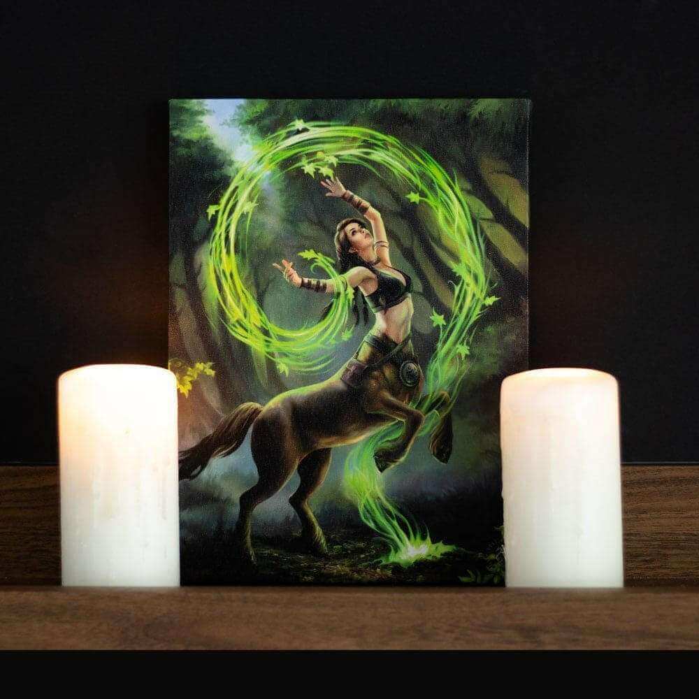 Anne Stokes Earth Element Sorceress Canvas Art Plaque Wall Art's Anne Stokes Quirky Turkey Gifts