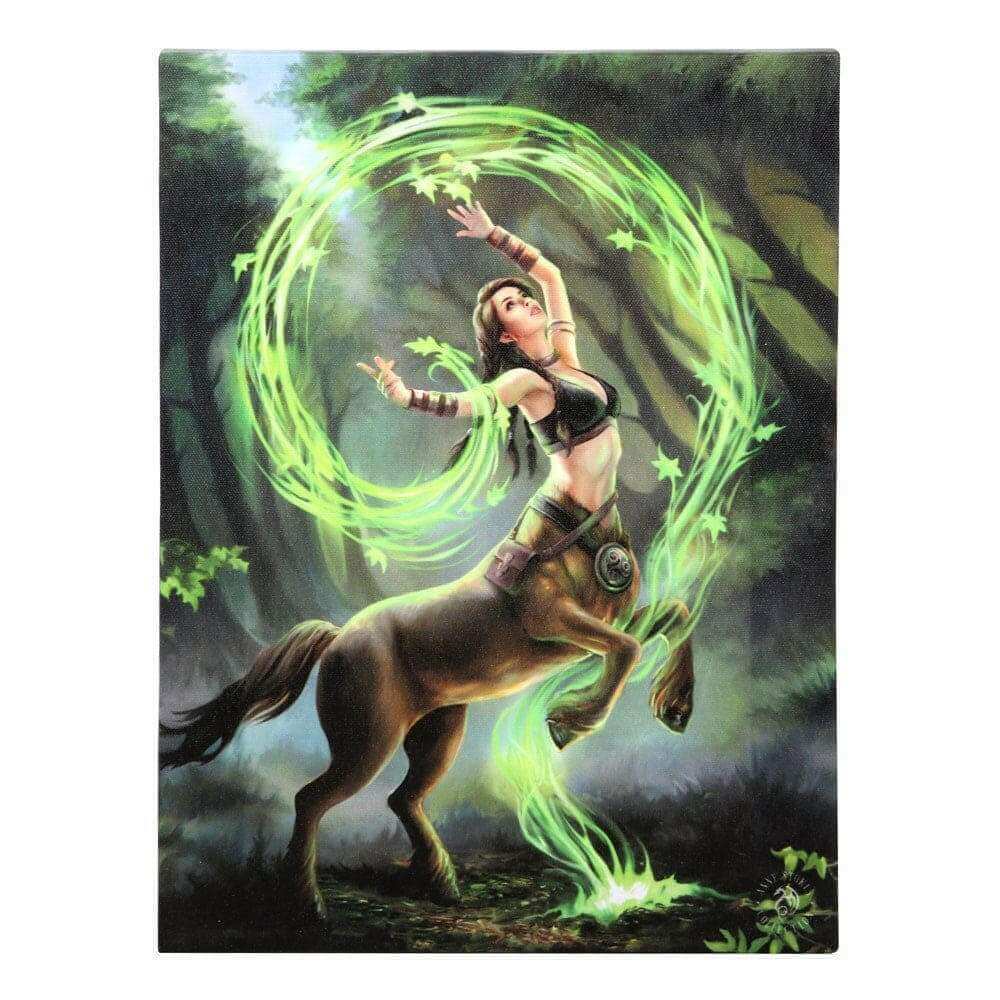 Anne Stokes Earth Element Sorceress Canvas Art Plaque Wall Art's Anne Stokes Quirky Turkey Gifts